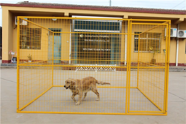 Popular Metal outdoor Dog Run Panel Dog House (XMM-DK00)