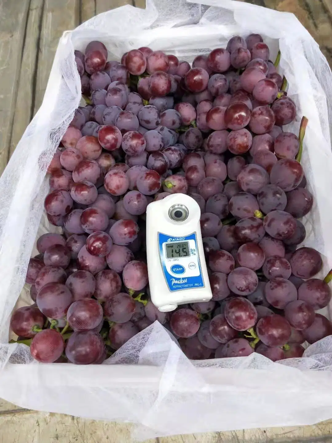 La nueva temporada de alto estándar de la uva roja Yunnan de uvas rojas