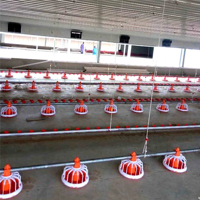 Easily Built Quick Installation Best Material Steel Poultry Farm Equipment