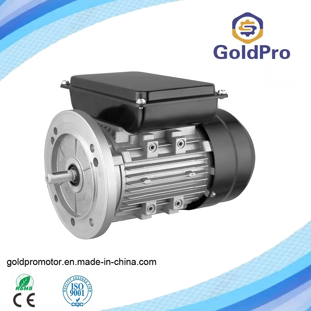 High Torque Single Phase AC 220-240V/50Hz 60Hz Electric Motor with Aluminum Housing