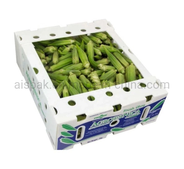 PP Twin Wall Hollow Fruit Vegetable Packing Box