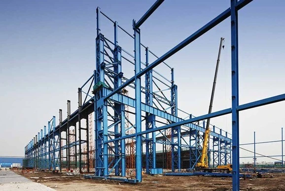 Prefabricated Steel Structure Building for Warehouse/Wokshop (DG3-008)