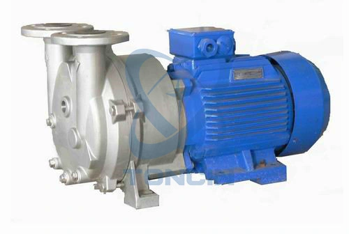 Large Capacity 2be Water Ring Vacuum Pump