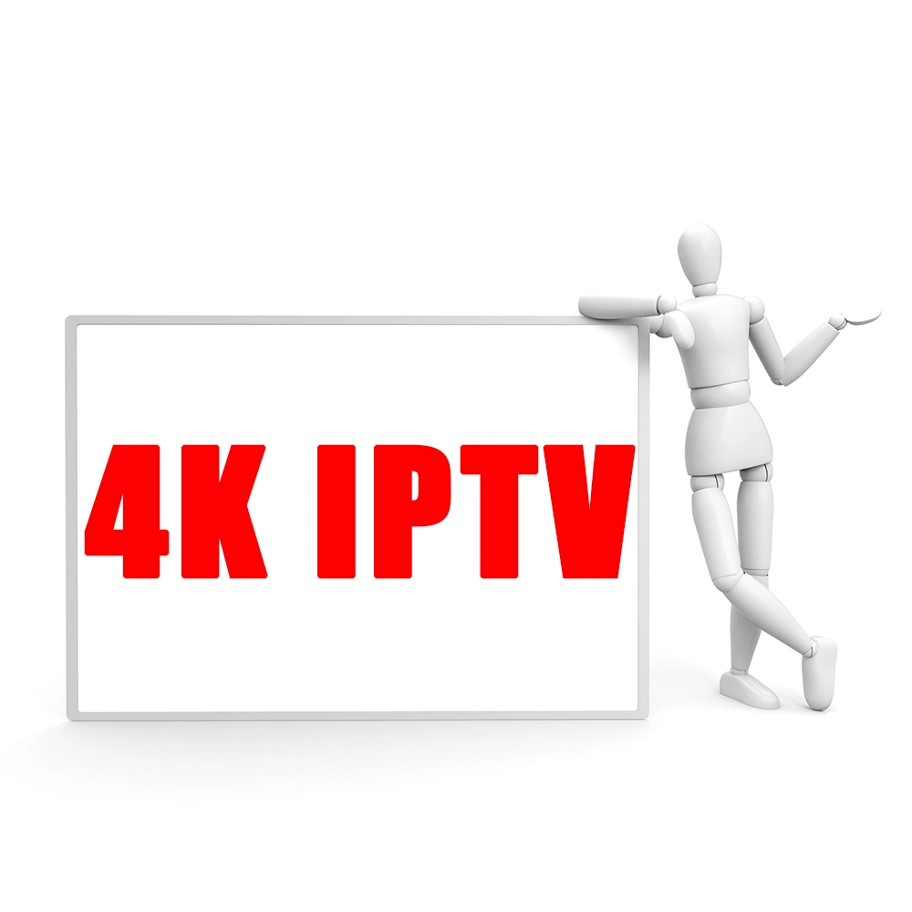 IPTV estable 4K M3U USA Italia Rumania árabe Pakistán India Canadá Holland América IPTV Turco para el Reseller Panel de IPTV