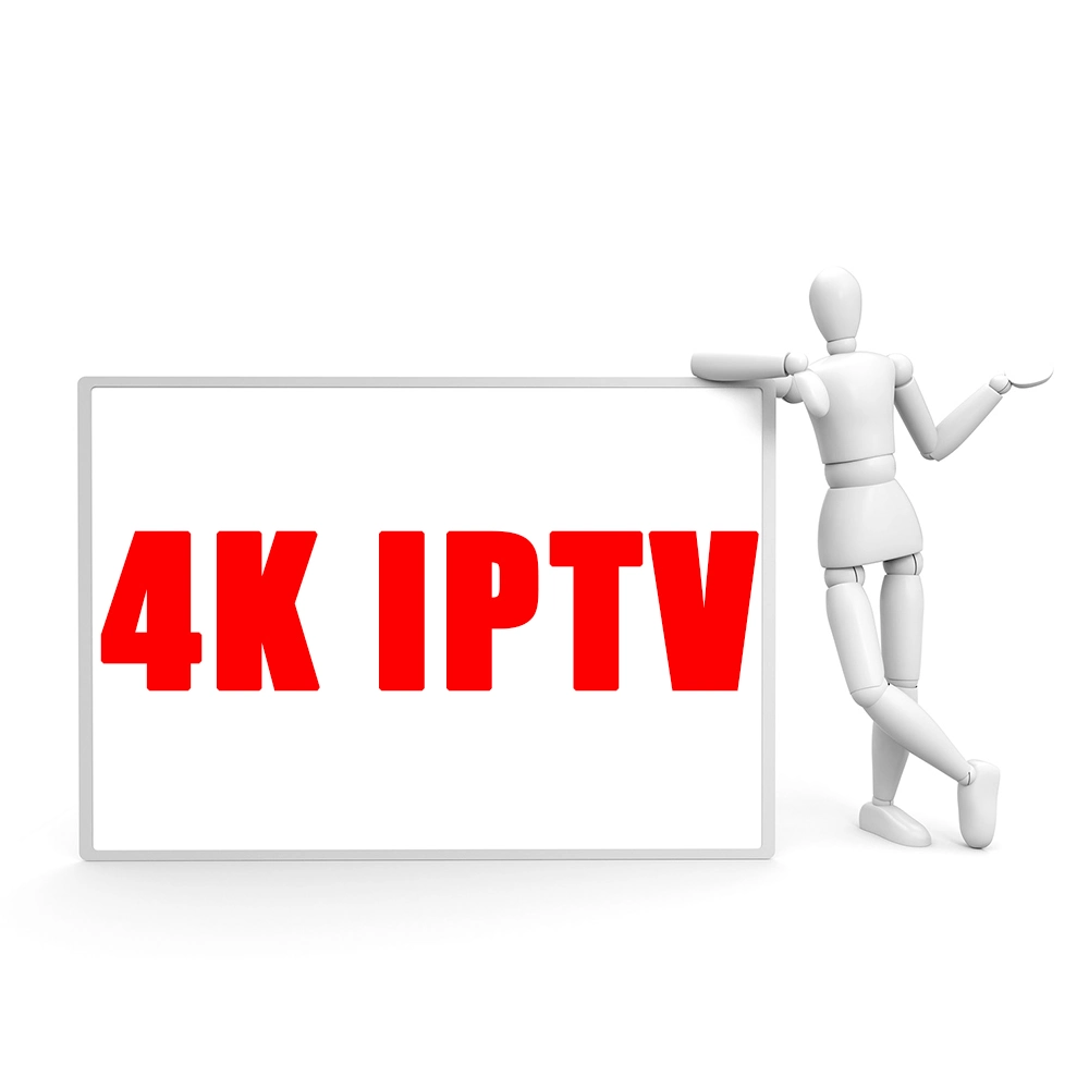 4K Stable IPTV M3u USA Italy Romania Arabic Pakistan India Canada Turkish Holland Latin IPTV for Reseller IPTV Panel