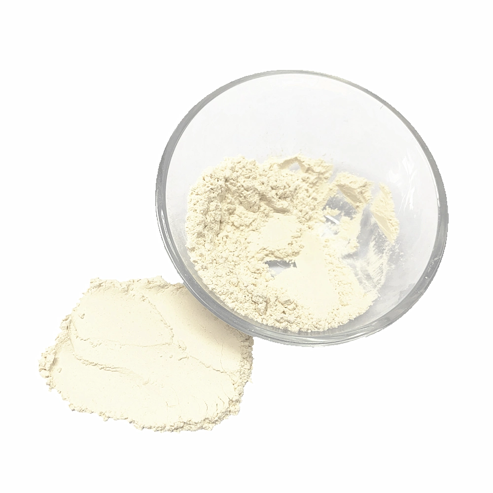 New Crop Air Dried White Garlic Powder