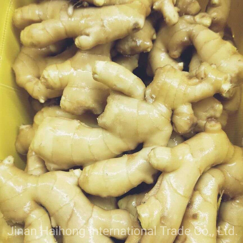 Chinese Fresh Air-Dry Ginger (200G+, 250G+)