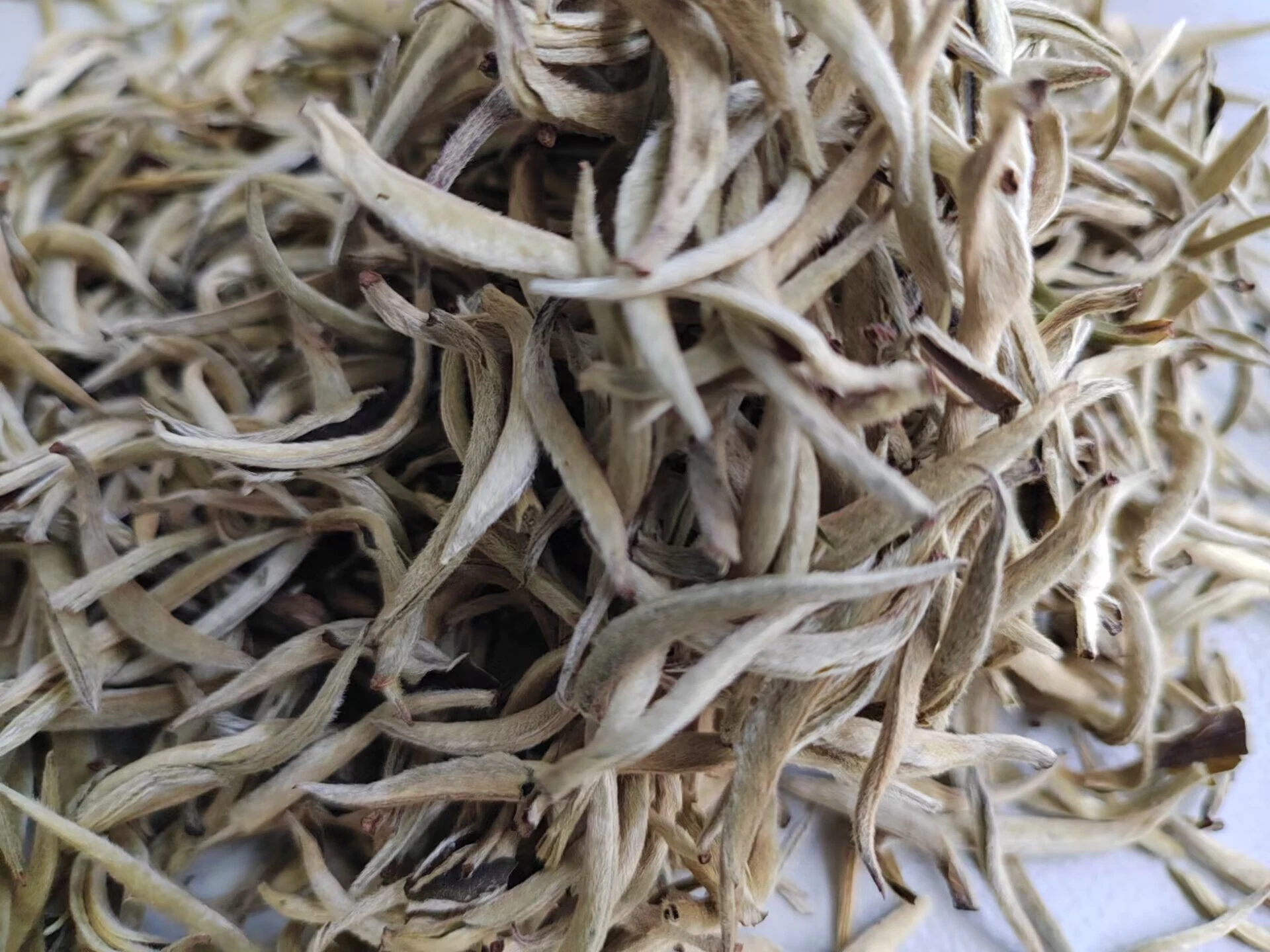 Wholesale/Supplier Bulk White Tea. (bai hao yin zhen)