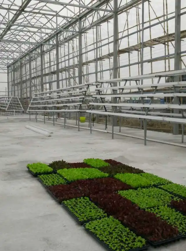 Los gases de cultivo hidropónico Nft sistemas de cultivo agrícola de la ciudad crezca en el interior del Sistema de Rack crecer canal