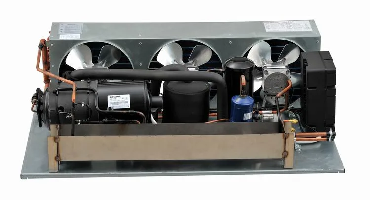 Customized Plug in Condensing Unit for Refrigeration Showcase Display