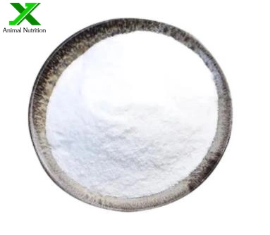 CAS 107-43-7 High Purity 99% Manufacturer Supply Glycine Betaine Powder