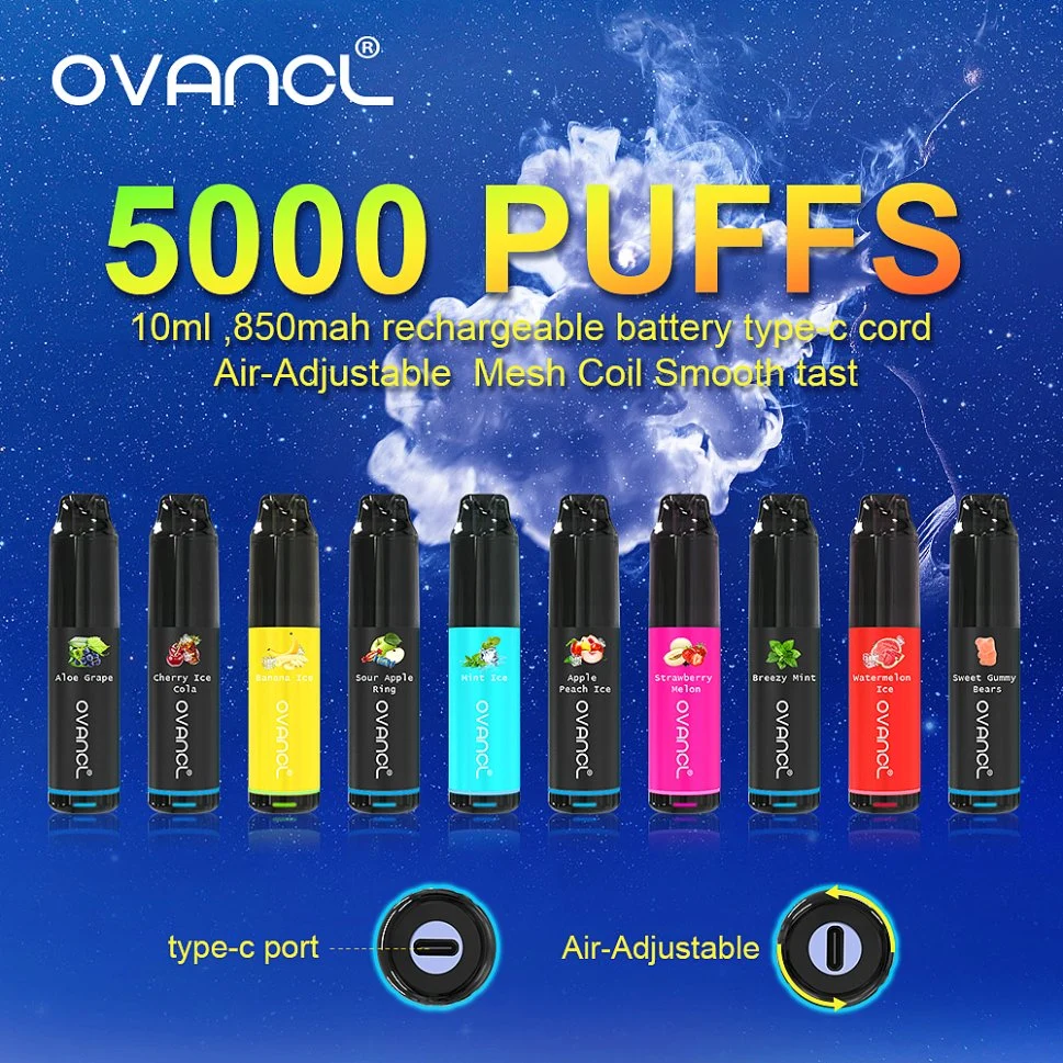 Newest 5000 Puffs E Cigarette Air-Adjustable Rechargeable Vape Pen Mesh Coil Nice Flavors Disposable Wholesale EGO E Cigar Price