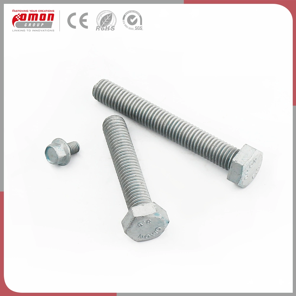 Building Anchor Metal Stainless Steel Nuts Moulding Bolts