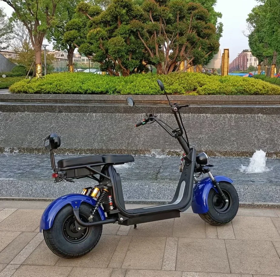 2 Wheel EEC CE Certification 2000W Adult Smart Electric Motorcycle Citycoco Bike