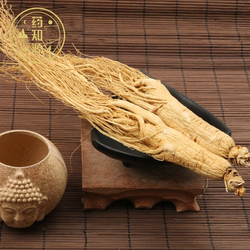 Ren Shen natürliche chinesische Medizin getrocknete Ginseng Radix in Masse