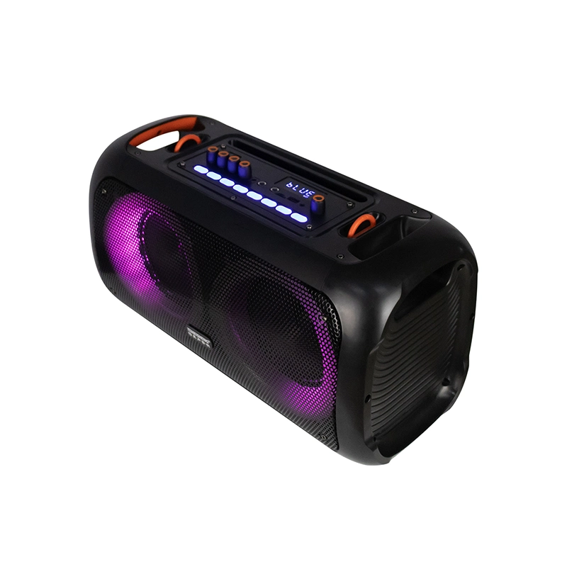 Private Module Dual 6.5 Inch Portable Wireless Bluetooth Speaker for Karaoke