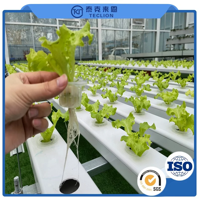 Greenhouse Air Culture Hydroponics System Pineapple Tower Garden Hydroponics Planting System Vertical Hydroponics System Wholesale/Supplier