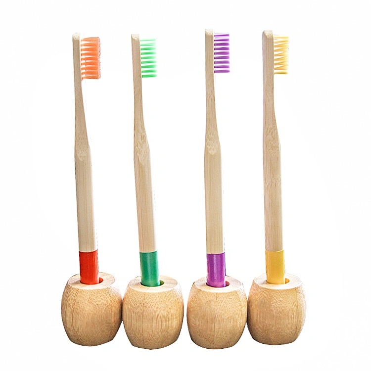 Family Personal Disposable Toothbrush for Hotel Travel Bamboo Toothbrush Tube Case with Holder