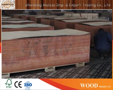 Film Faced Plywood / Formwork Hardwood Plywood/ Commercail Plywood