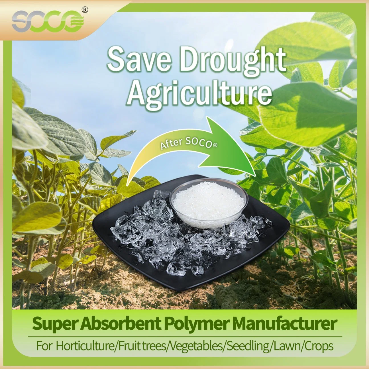 Super Absorbent Polymer Powder,Sodium Polyacrylate Hydrogels,Potassium Polyacrylate Crystal Gel,Sap Manufacturer for Agriculture,Industrial,Plants,Vegetables