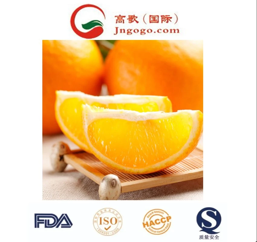 Wholesale/Supplier Fresh Oranges Fruit/Fresh Tangerine/Mandarine