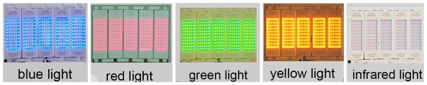 علاج LED بضوء LED بضوء LED بضوء LED بتقنية Pبالتوقيت الباسيفيكي لتجديد خلايا البشرة ماكينة تجميل