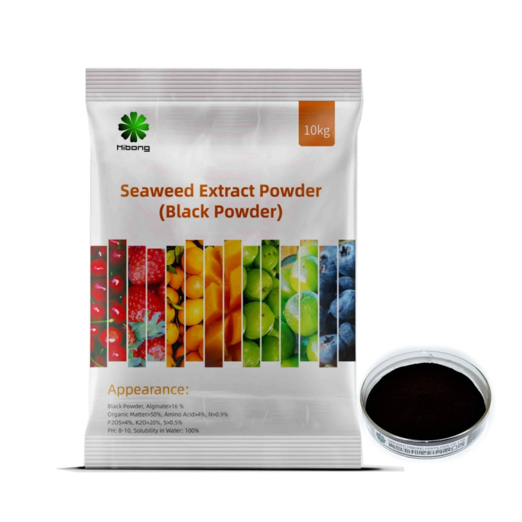 Agricultural Fertilizer Seaweed Extract Powder for Plant Growing