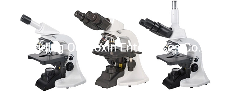 Monocular Straight Tube Xsp-04 Microscope