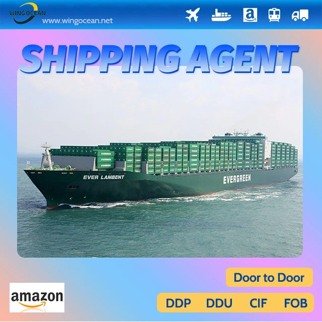 Shipping From China to Germany Excellent and Professional Amazon Logistics Service Supplier