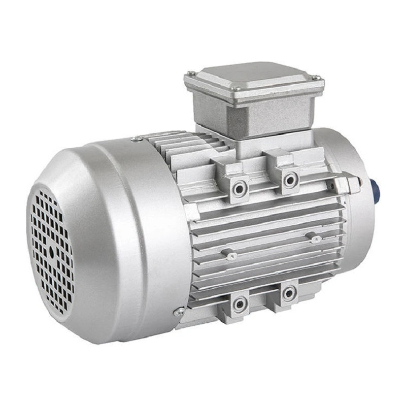 Standard Three Phase Induction Motor Cast Iron Electric AC Motor