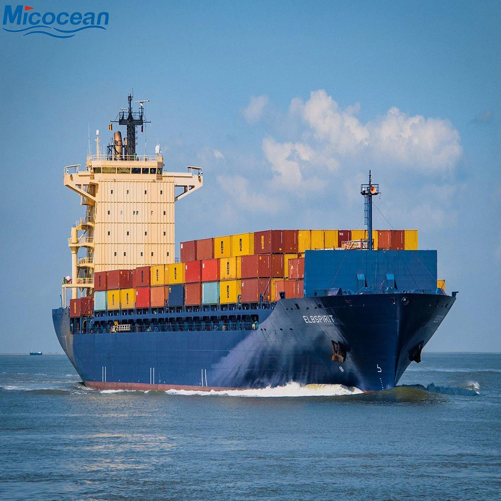 LCL Logistica Service Consolidation Sea Shipping From Guangzhou/Shanghai/Shenzhen/Ningbo to Damietta