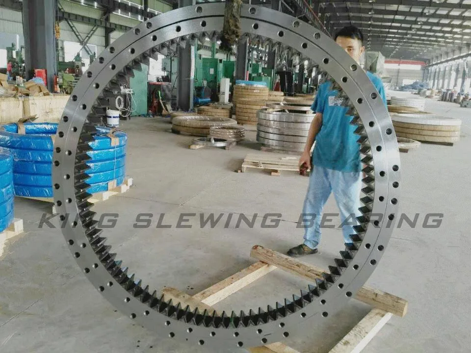 Excavator Slewing Ring Bearing Ts-70m Type 1