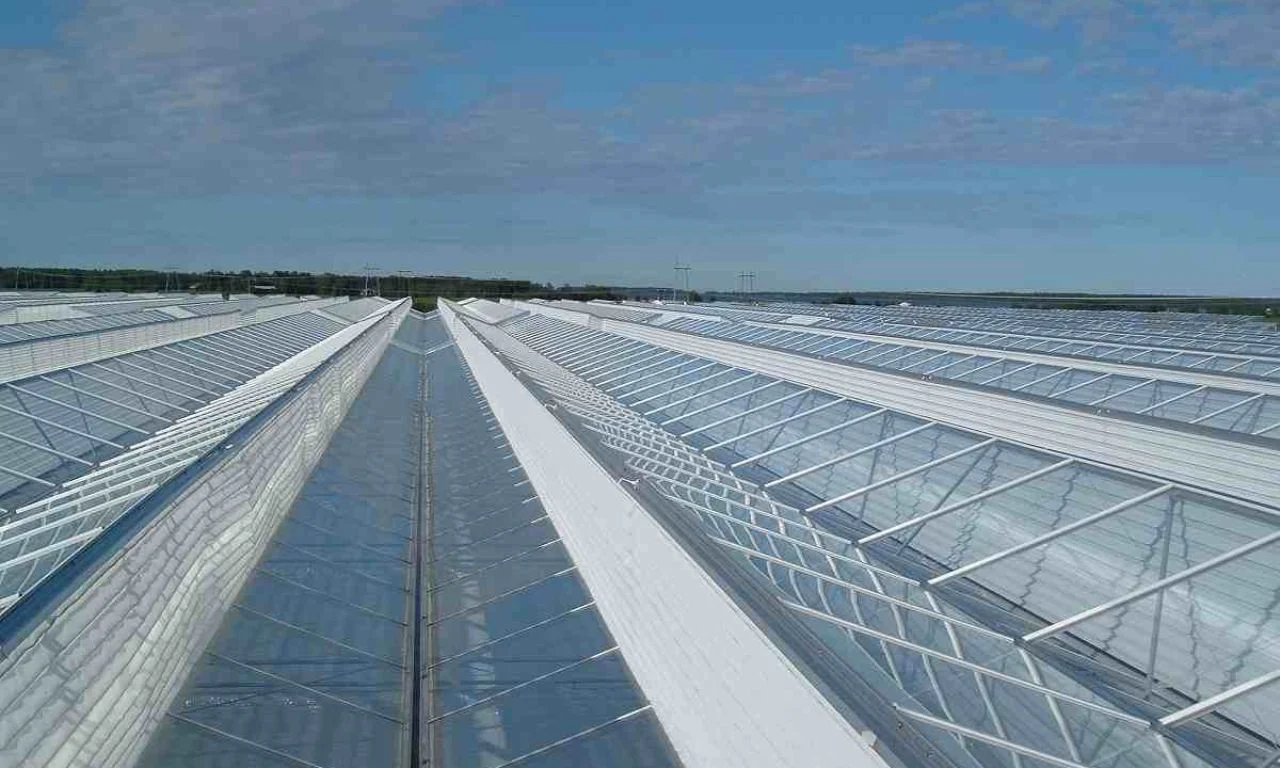 Factory Cheap Agricultural Multi-Span Greenhouse Glass for Vegetables