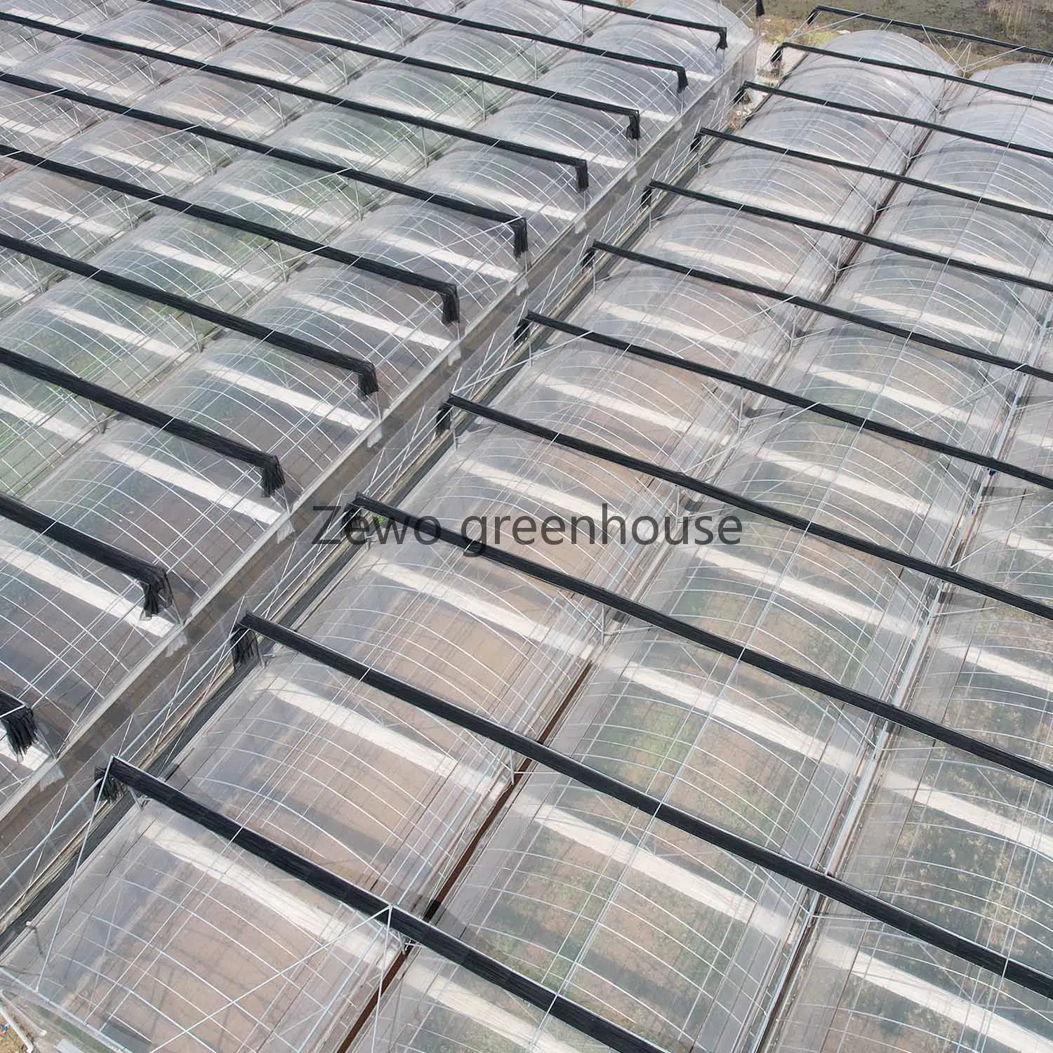 Poly Film Multi-Span Greenhouse with Hydroponics System for Tomato/Cucumber/Lettuce/Pepper Planting