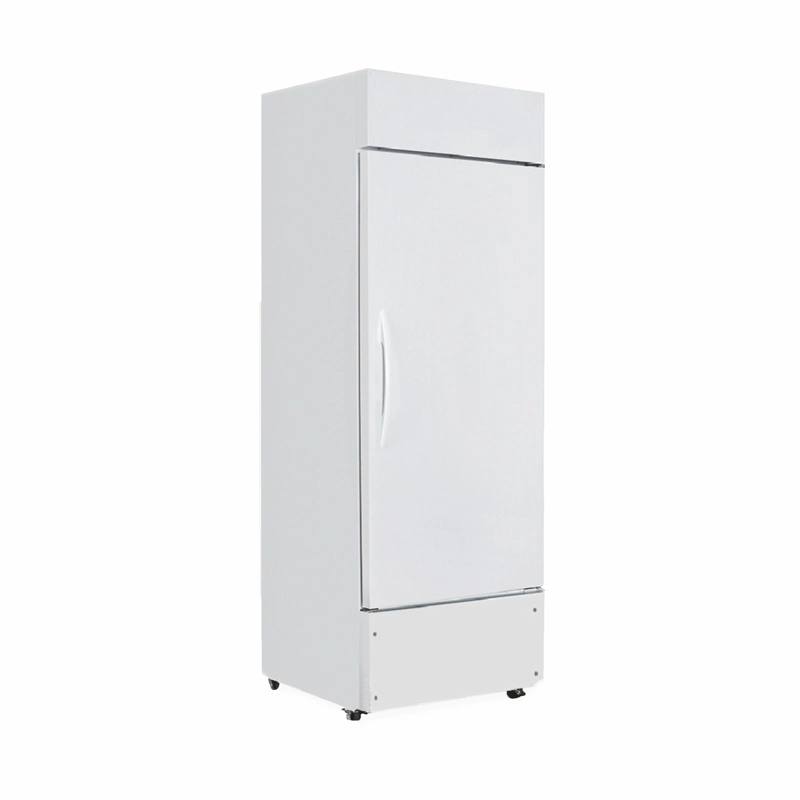 Refrigerated Medicine Cabinet 2 to 8 Degree Vaccine Pharmacy Refrigerator Drug Refrigerator