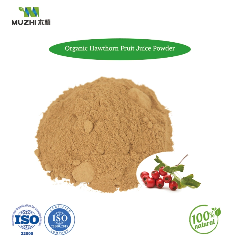 Matcha Powder Natural Herbal Plant Extract