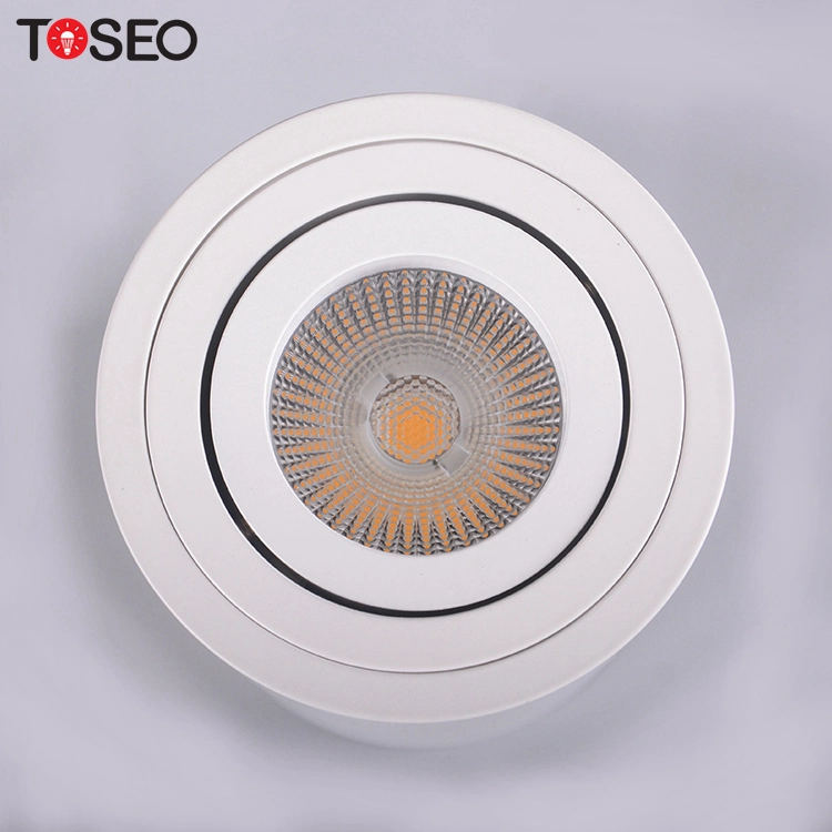 12V LED Ceiling Light Lantern Downlights