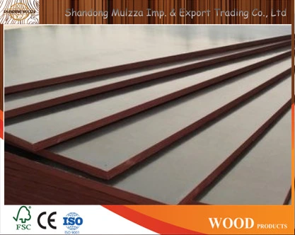 9-21mm Building Materials Film Faced Plywood with Best Price