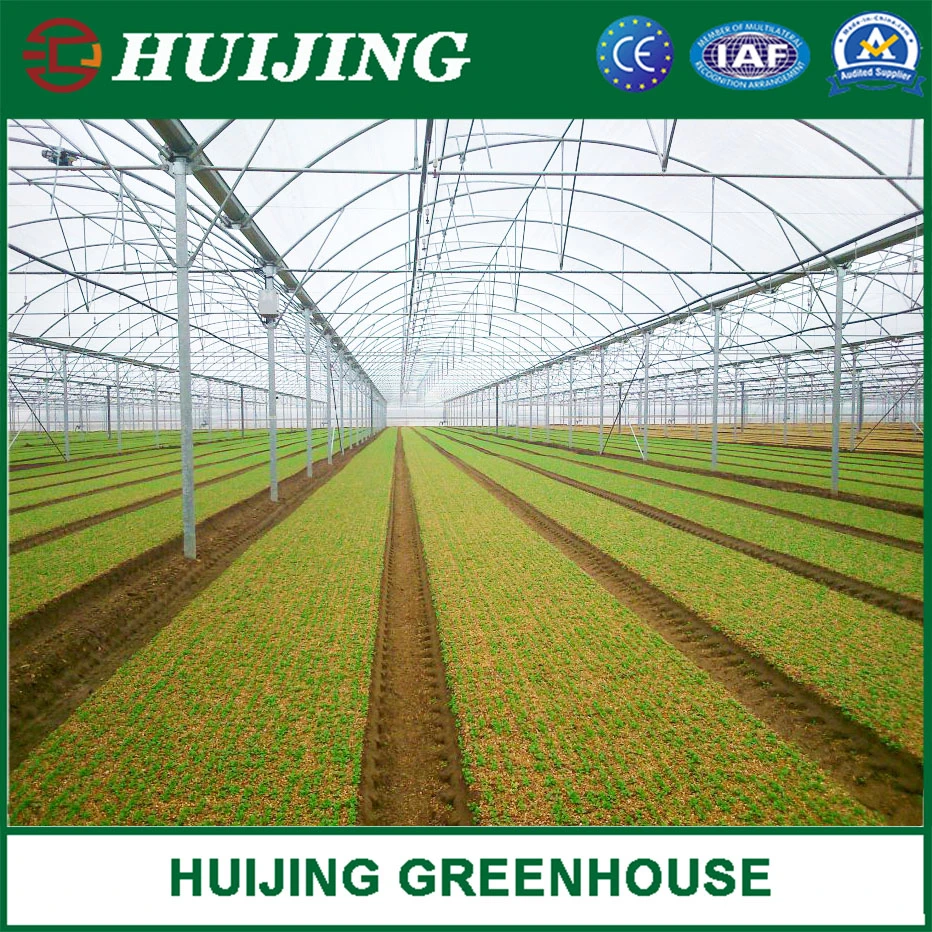 Gothic Butterfly Vent Film Covering Greenhouse with Insect Net