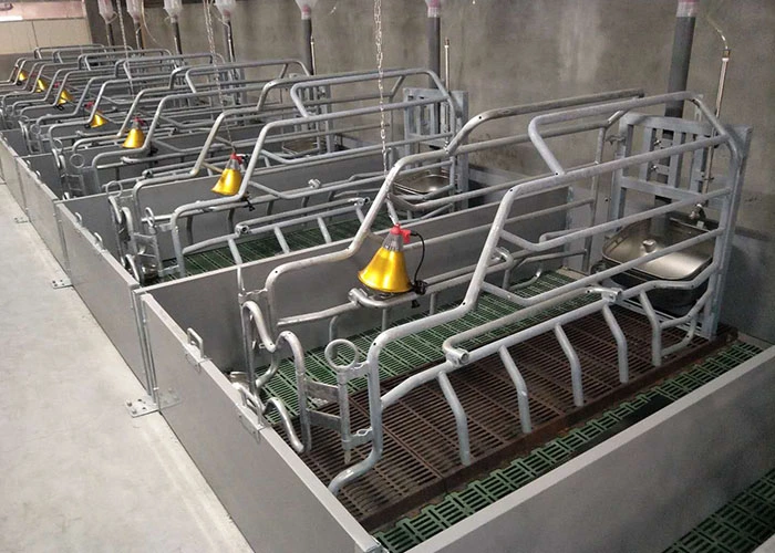 European Type Pig Farm Equipment Sow Cage