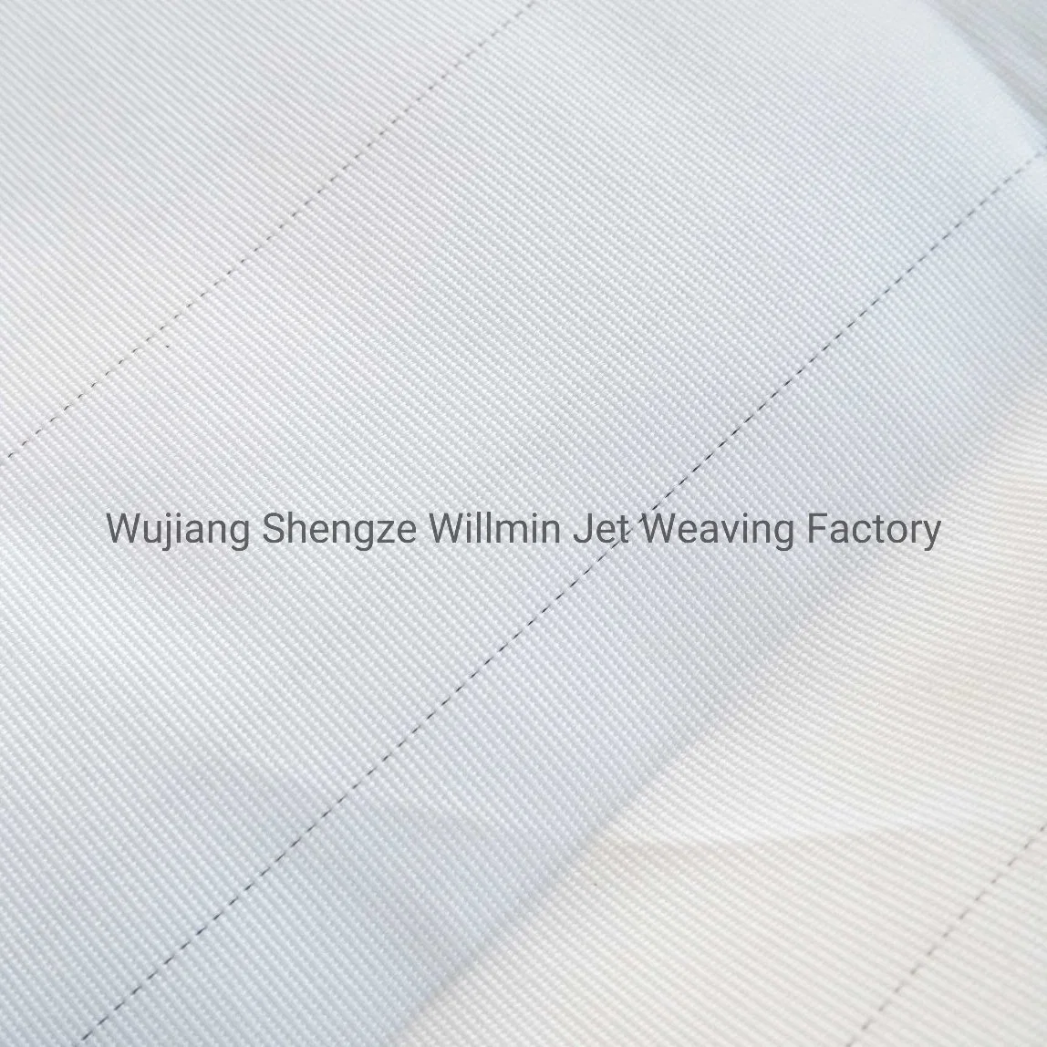 Durable Polyester and Silver Yarn Pes Multifil Monofilament Fabric for Industrial Technical Bags Use