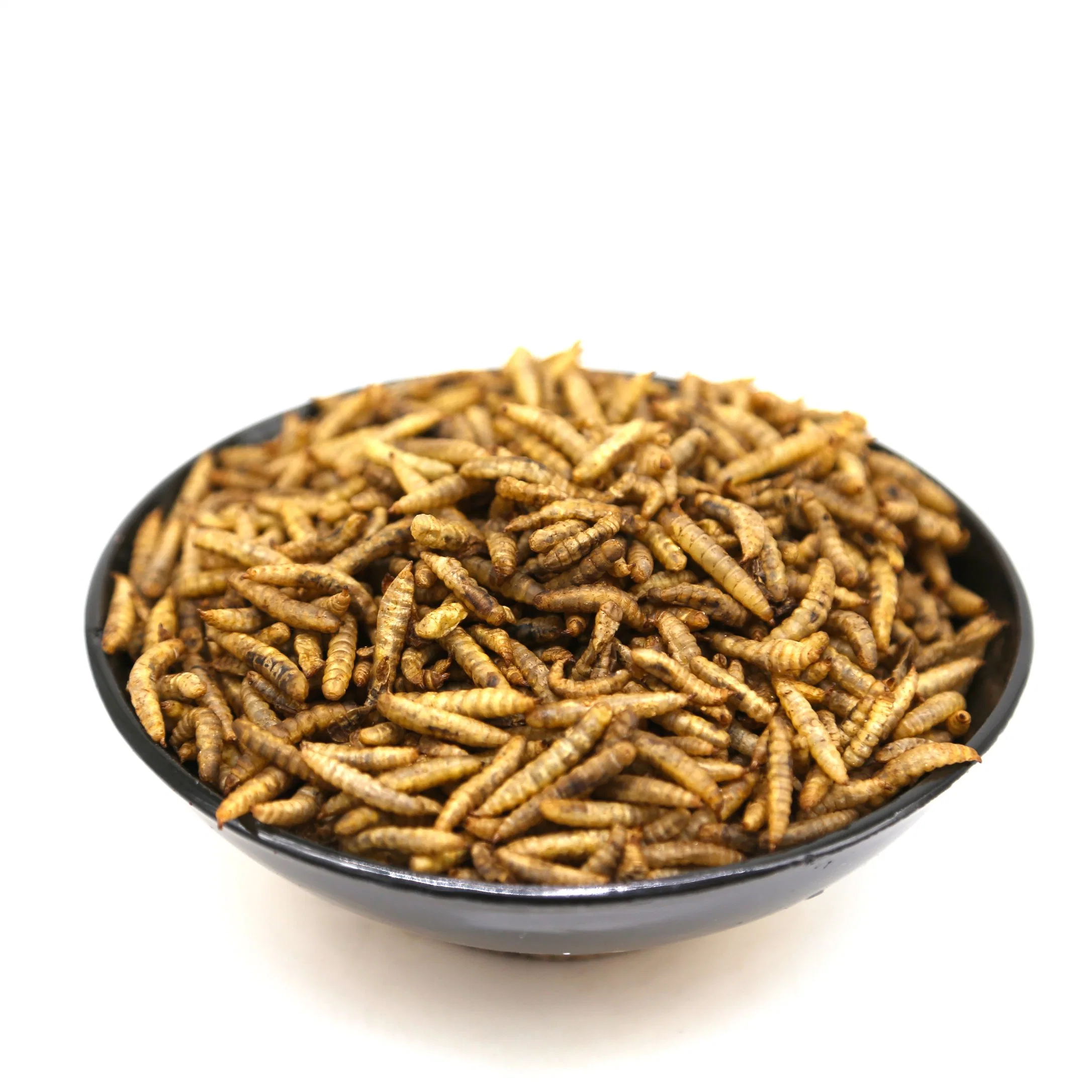 Bulk High Protein Bird Food/Fish Food/Pet Food Made of Dried Mealworms