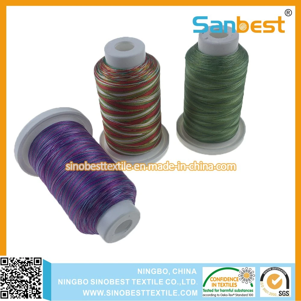 120d/2 1000m Multicolor Chinese Premium Twisted Polyester Embroidery Thread