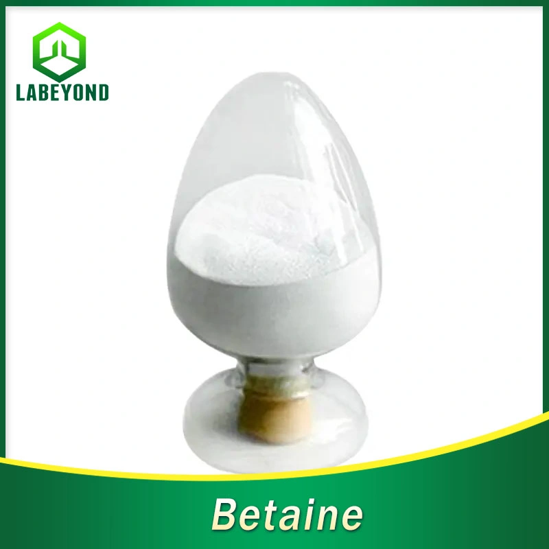 Factory Supply White Crystalline Powder Betaine Monohydrate