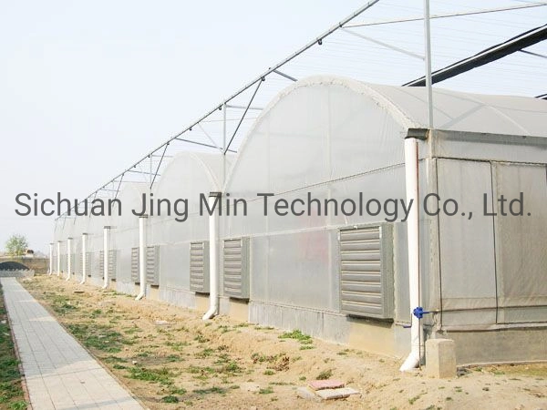 PE Film Greenhouse for Agriculture Used