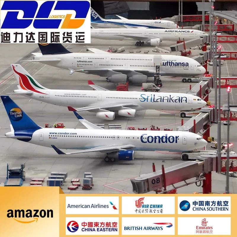 Air Freight / From Shenzhen to Ireland/to The Airpor