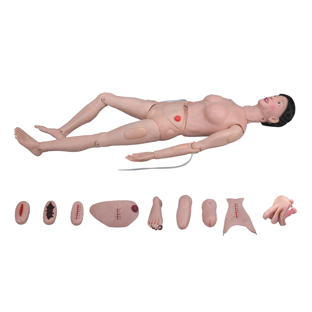 H-2200 Medical Science Female Manikin