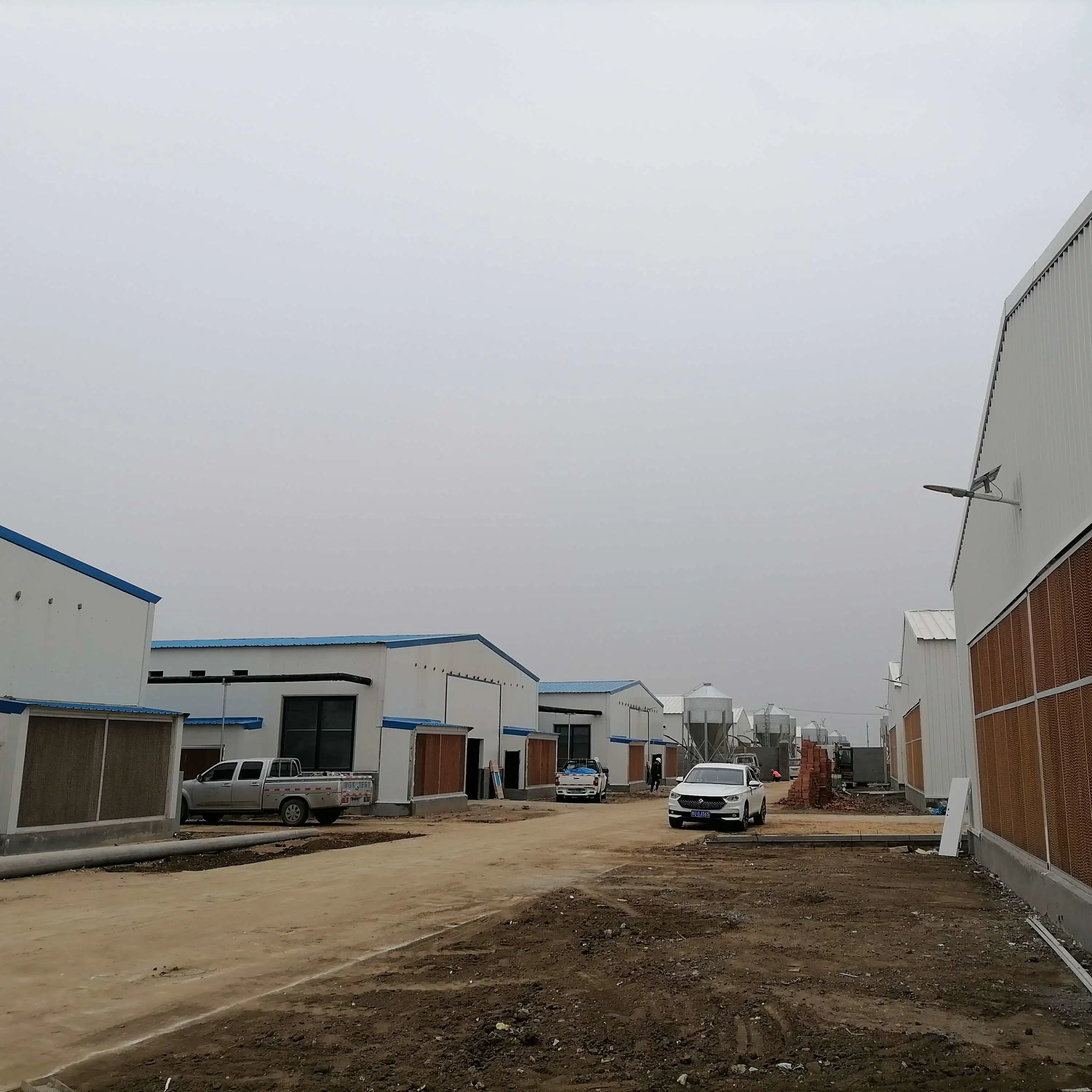 Prefabricated Steel Structure Prefab Animal Poultry Cow Shed Building Chicken Farming House