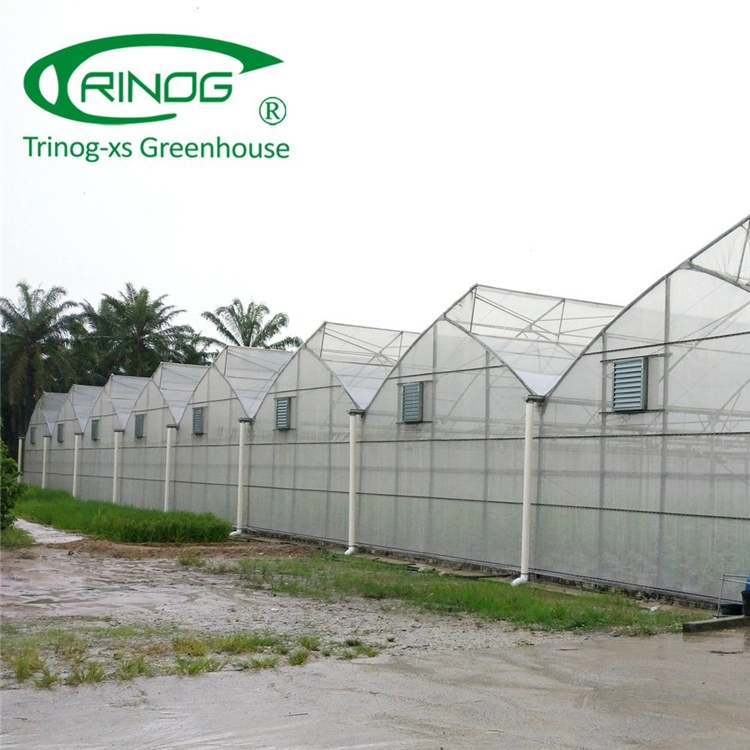 New Design Reusable High Tunnel Multi-Span Film Green House