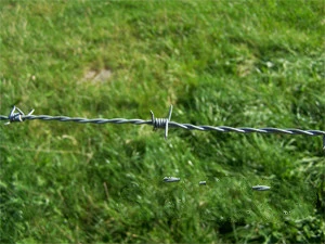 Galvanzied/PVC Coated Low Carbon Steel Barbed Wire for Prison